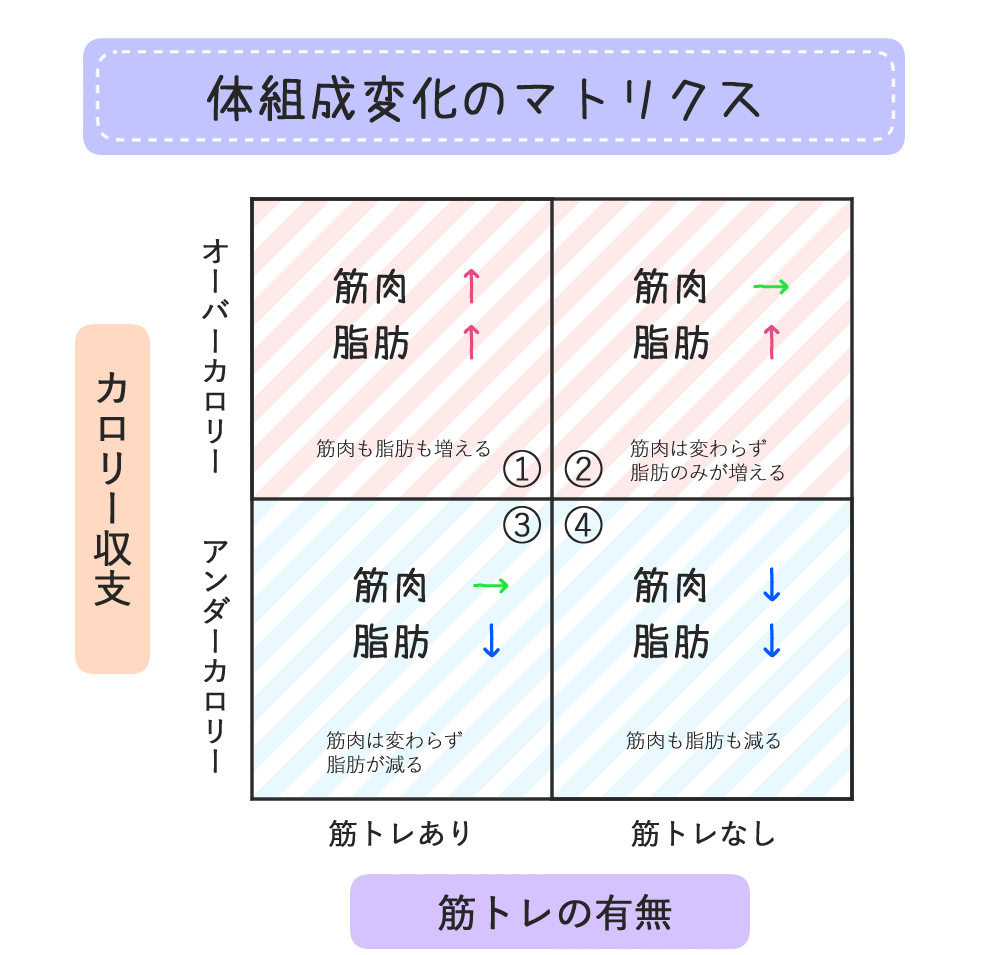 2軸のマトリクスで筋肉と脂肪の変化をシンプルにまとめました ゼロから始める筋トレガイド もえきゅんわーくあうと