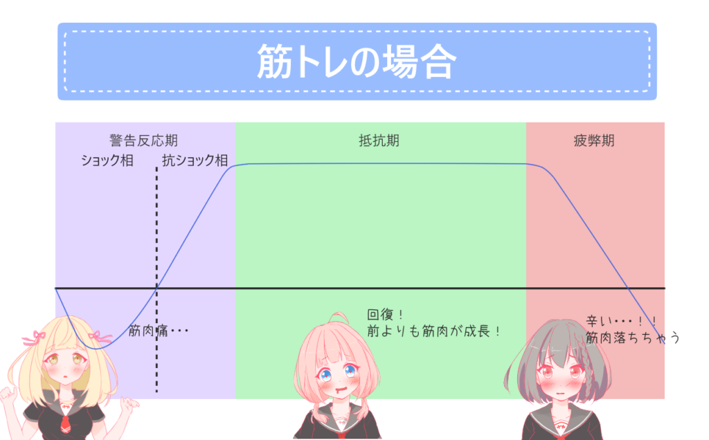 ストレス応答ってなに ゼロから始める筋トレガイド もえきゅんわーくあうと
